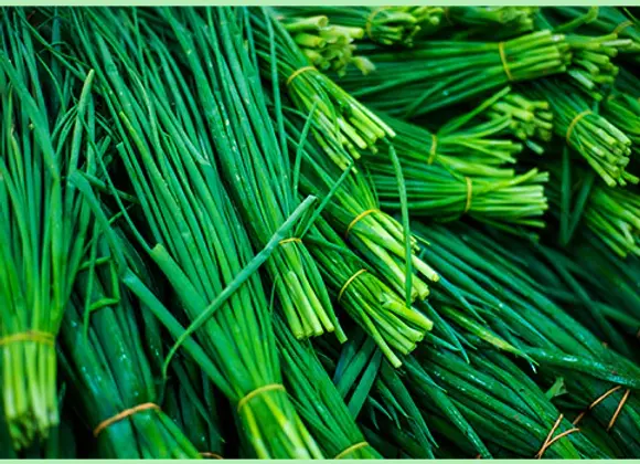 Chives