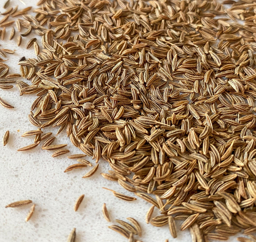 Caraway