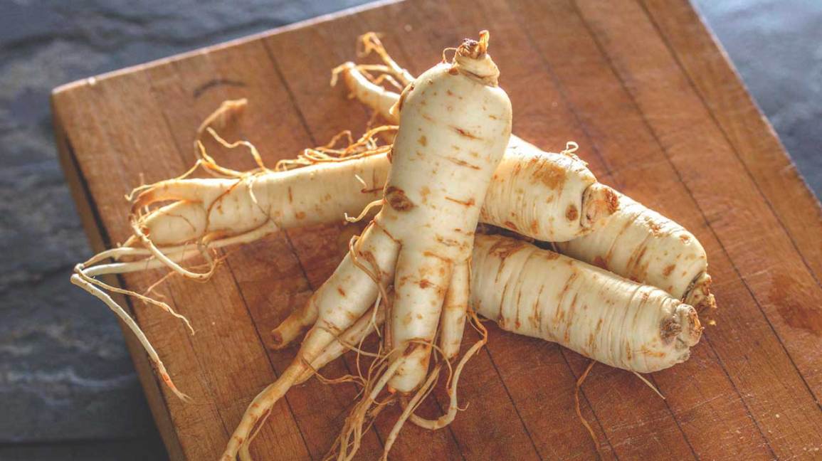 Ginseng